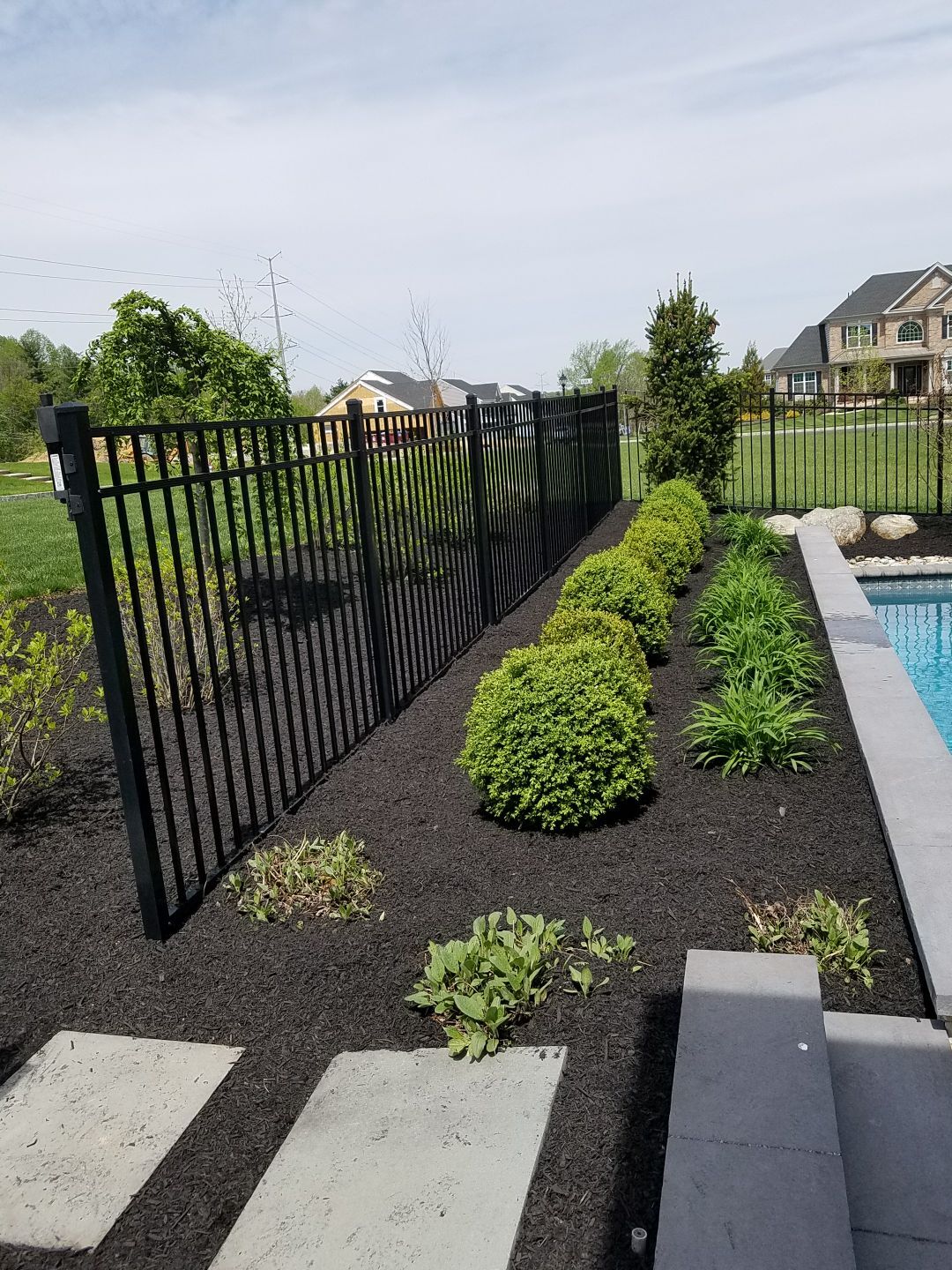 New shrubs and mulch planted along a black iron pool fence