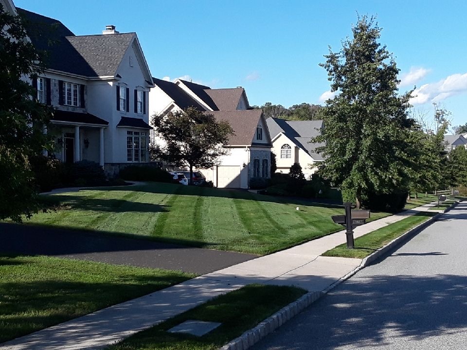 Neatly striped front lawns along a suburban street