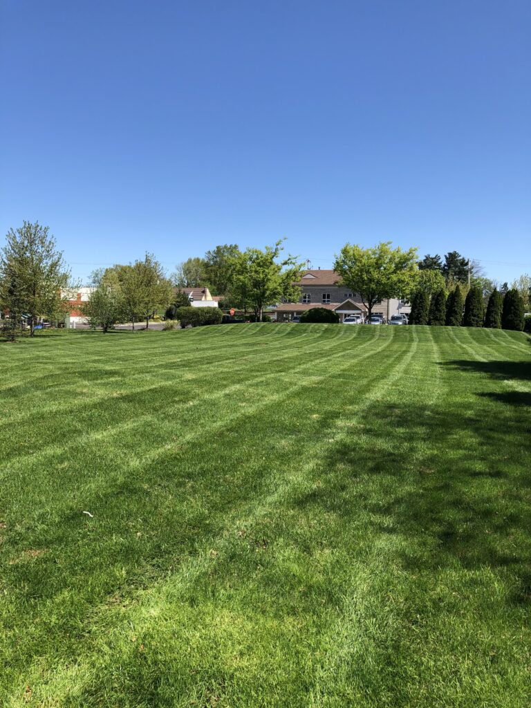 Wide lawn mowed in clean diagonal stripes under a blue sky