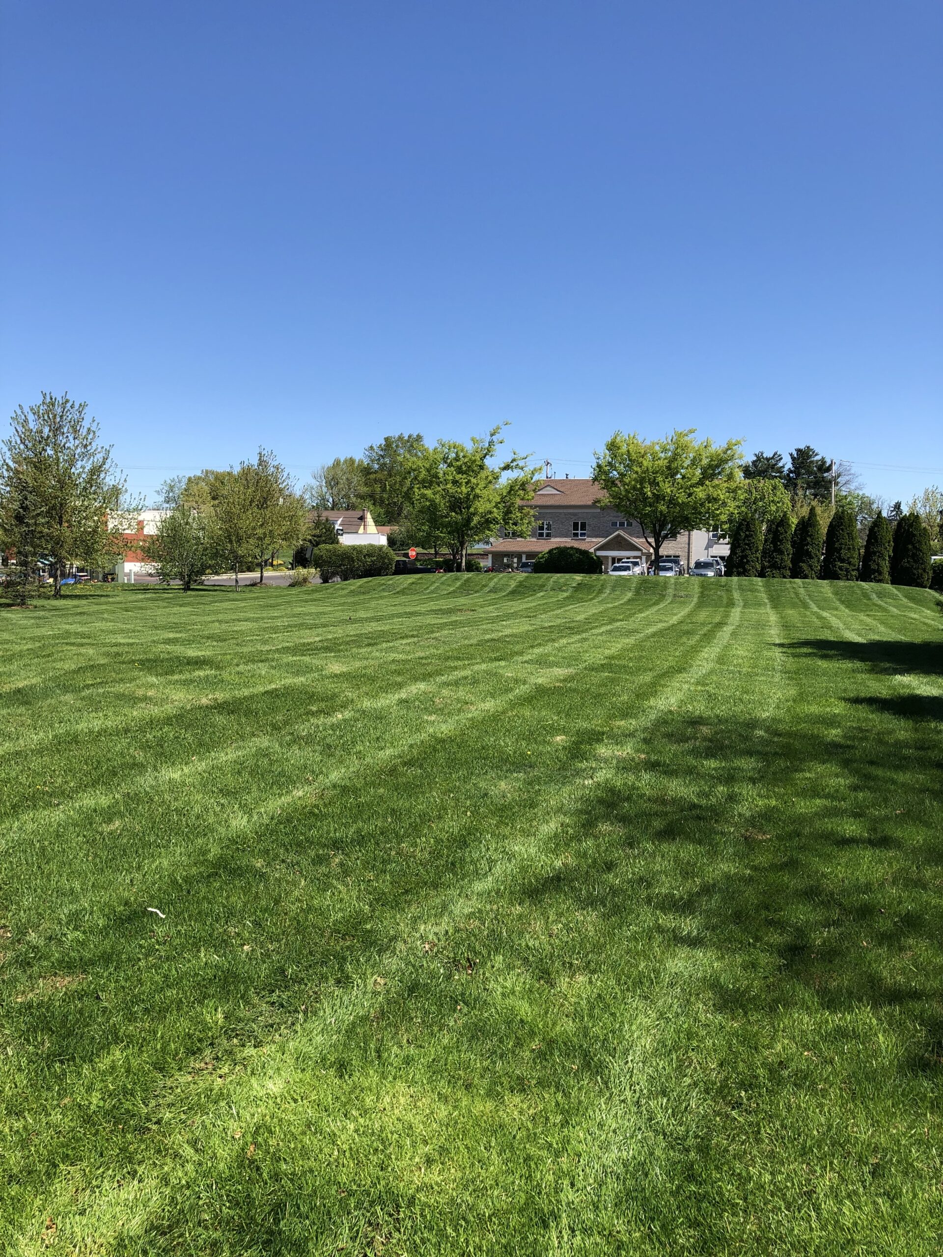 Wide backyard lawn freshly mowed in straight stripes under a blue sky