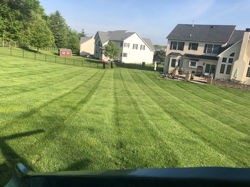 Large backyard lawn mowed in straight, even stripes
