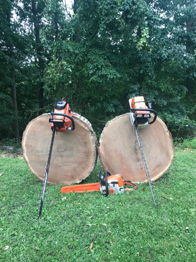 Two large cut tree rounds and chainsaws after a tree removal