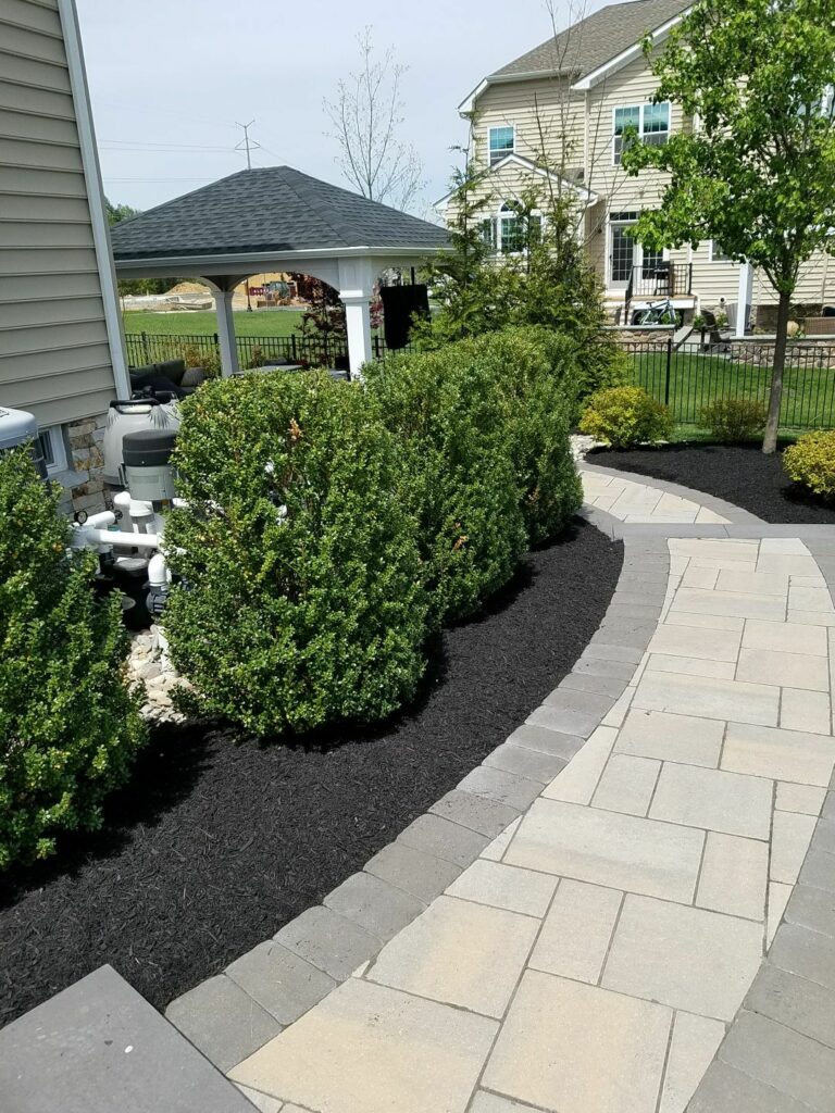 Curved paver walkway lined with fresh black mulch and trimmed shrubs