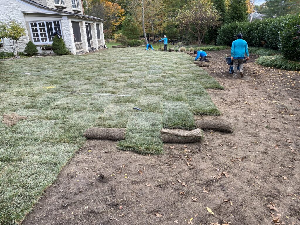Crew laying rolls of fresh sod across a prepared yard
